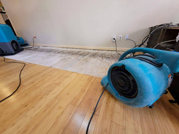 Professional Basement Flood Cleanup technician working in Hudson, WI